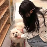 帝王印记手机版